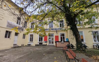 Program special de vizitate pentru Sărbătorile de iarnă